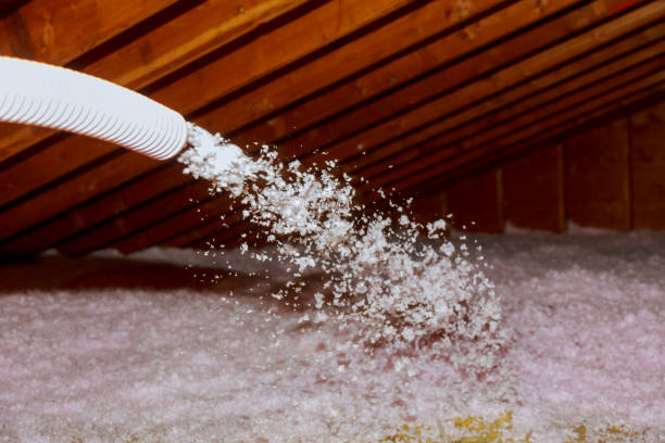 Best Wall Insulation Contractor  in Lutherville, MD